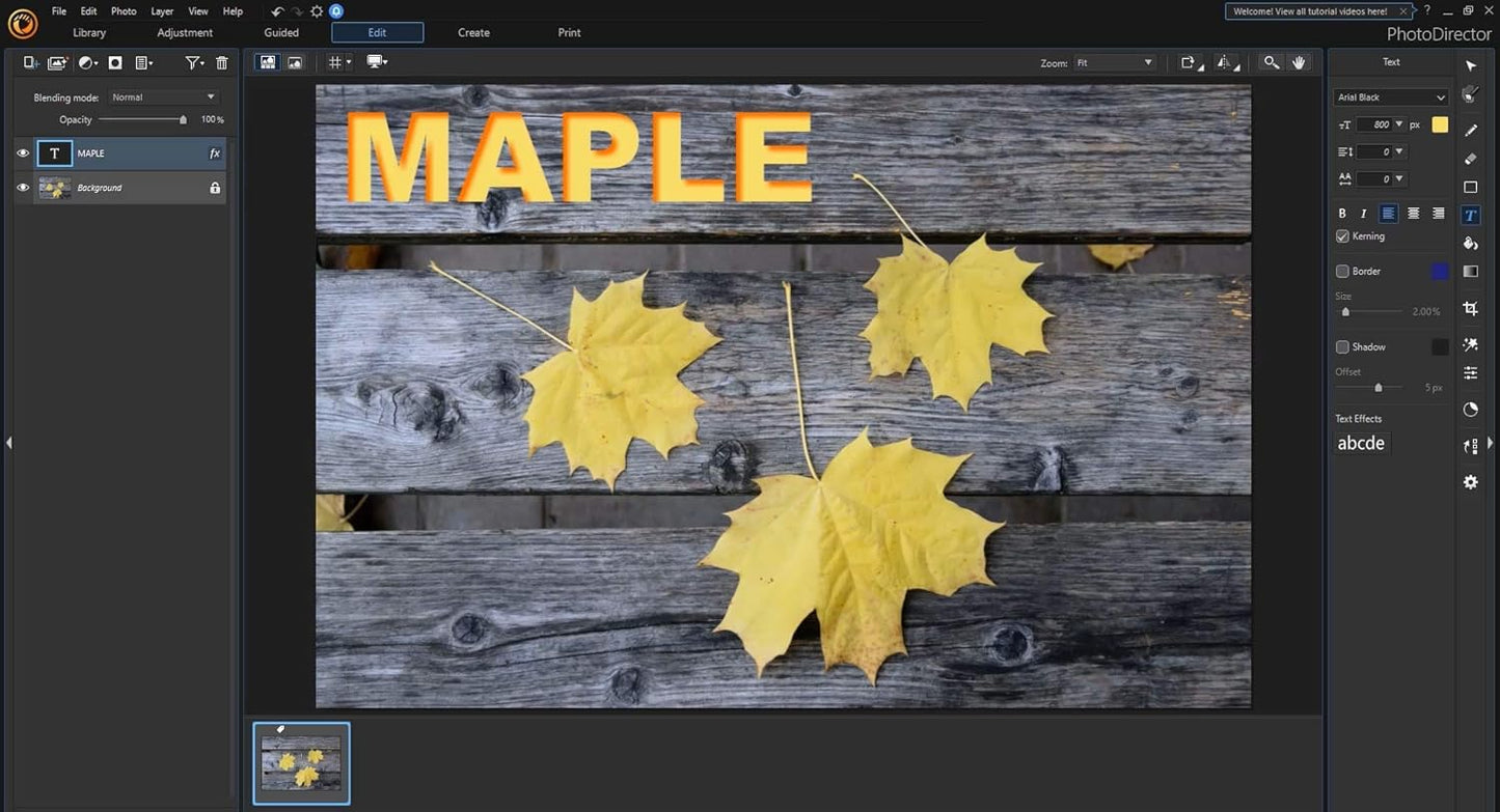 Photodirector 12 Ultra